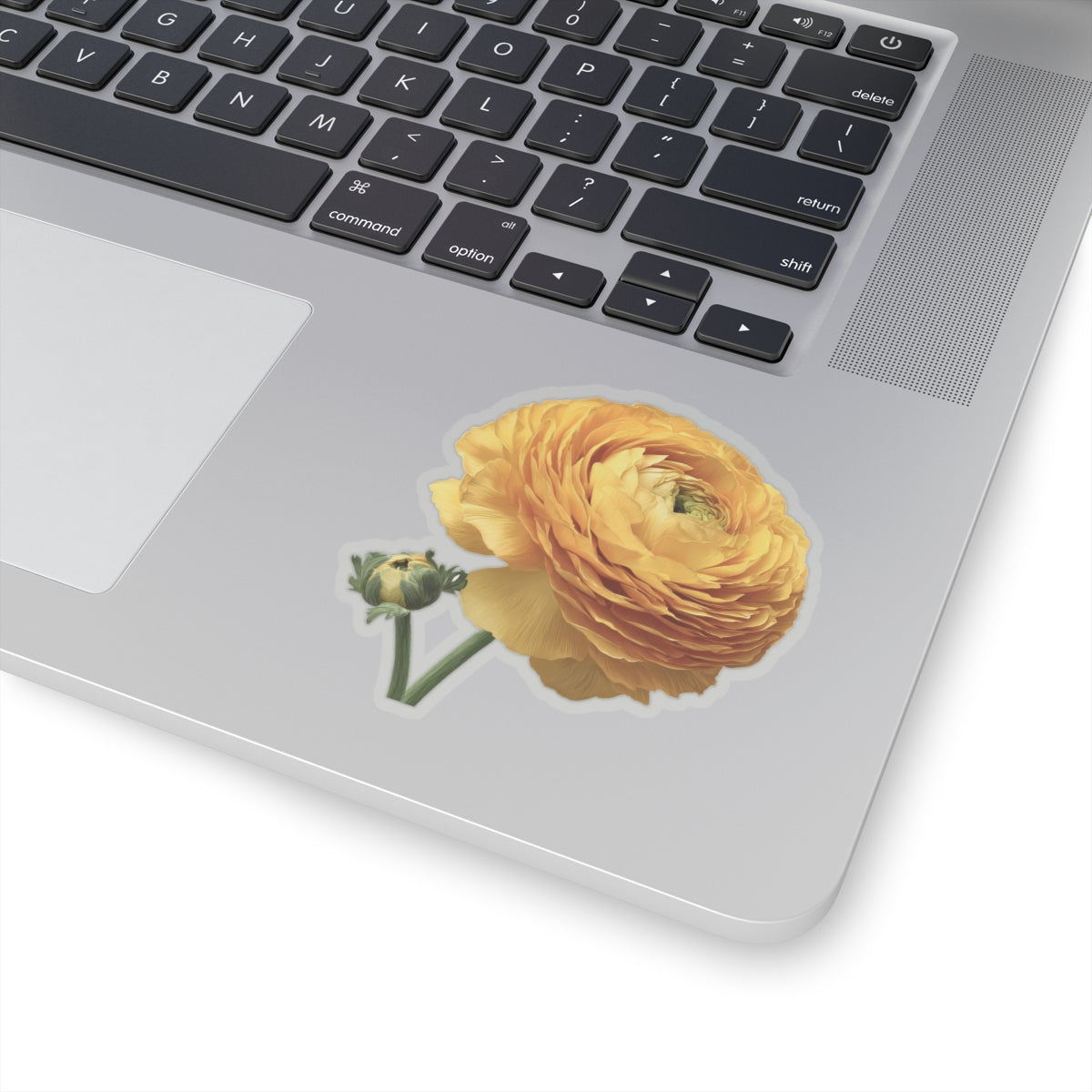 Yellow Ranunculus Sticker
