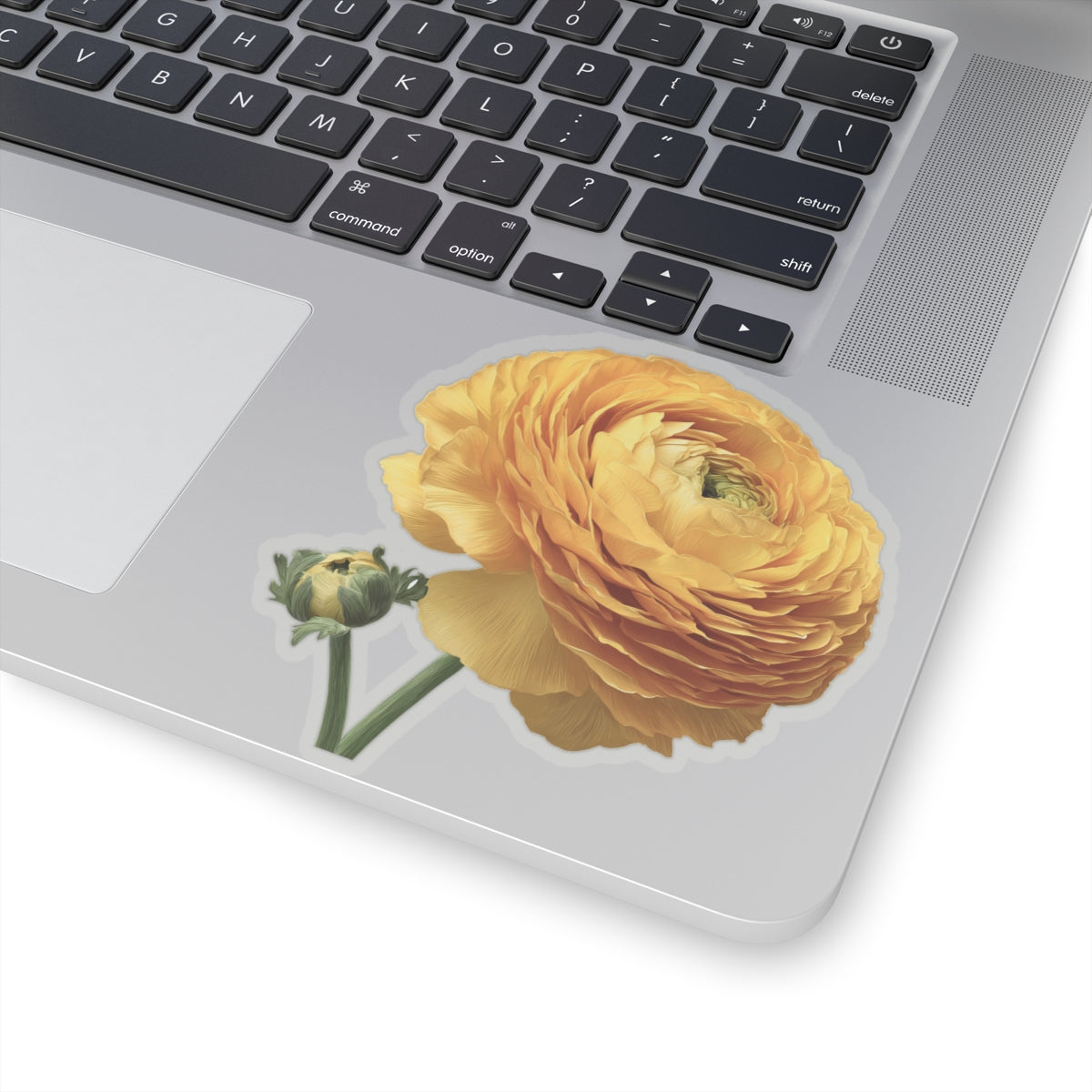 Yellow Ranunculus Sticker