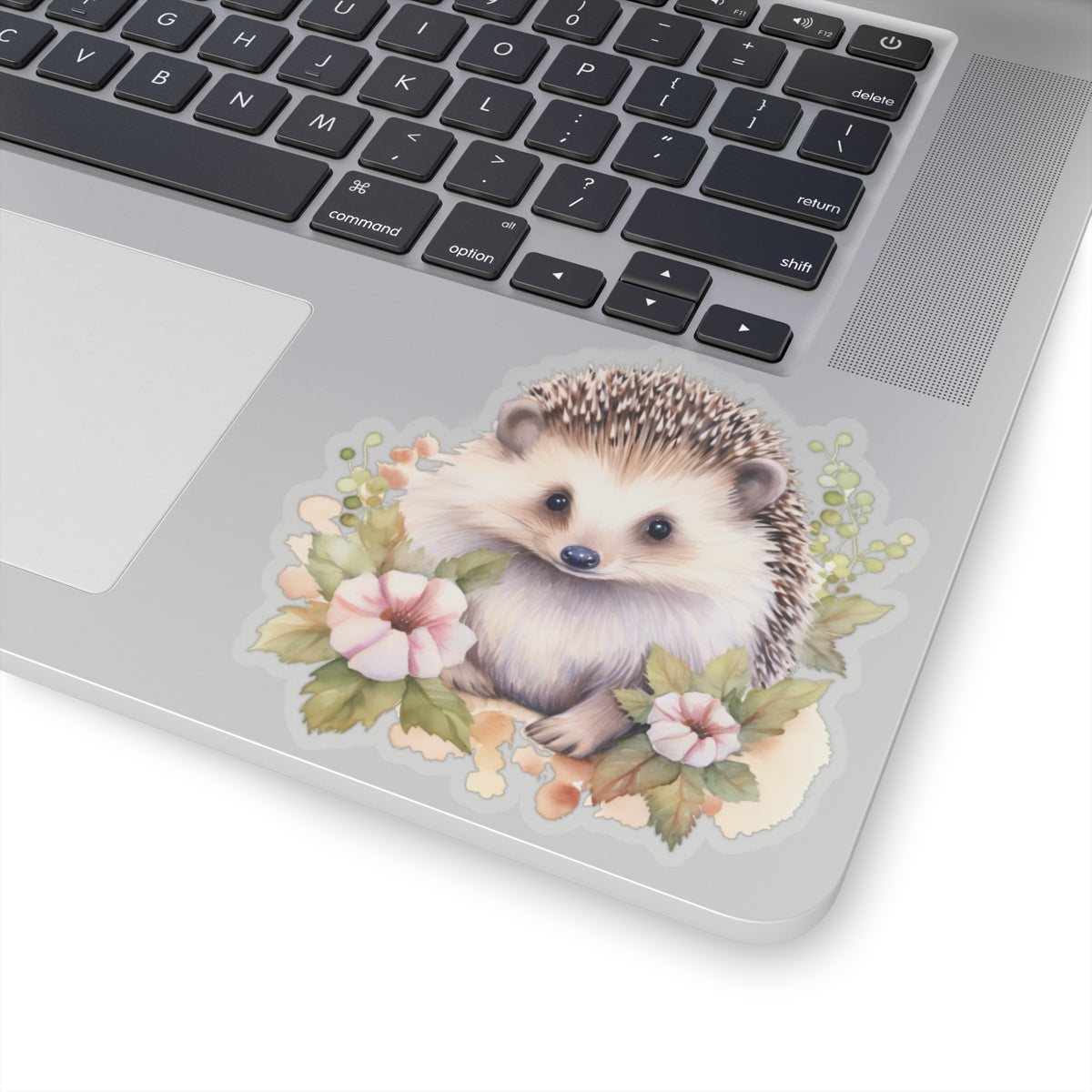 Hedgehog Sticker