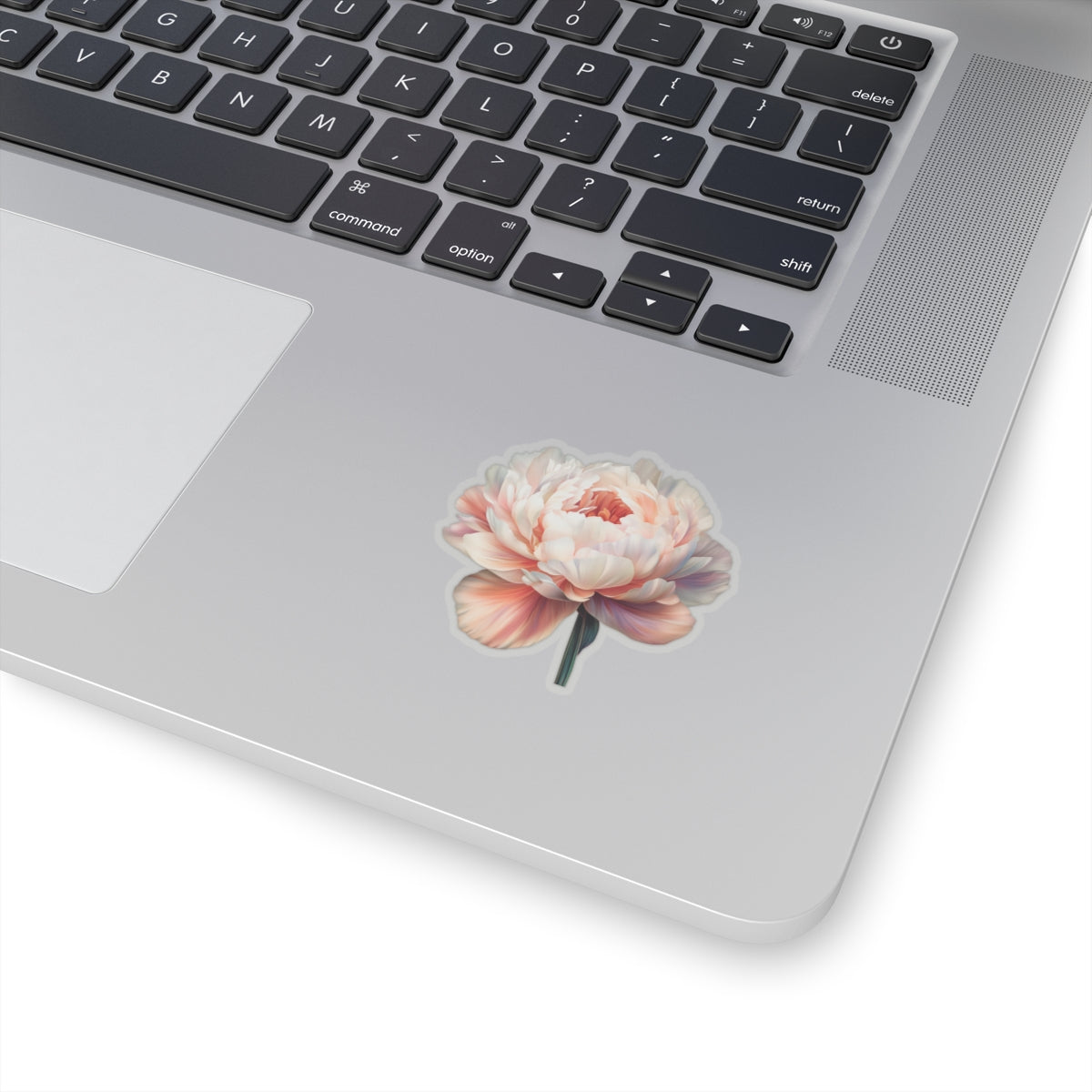 Pale Peach and White Peony Sticker