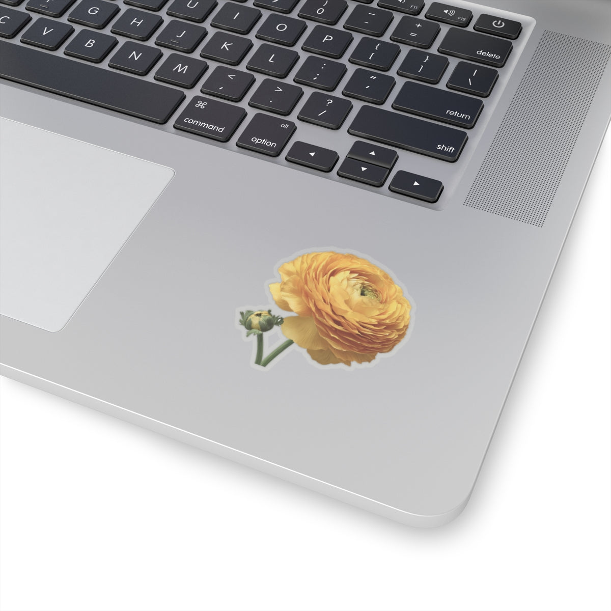 Yellow Ranunculus Sticker