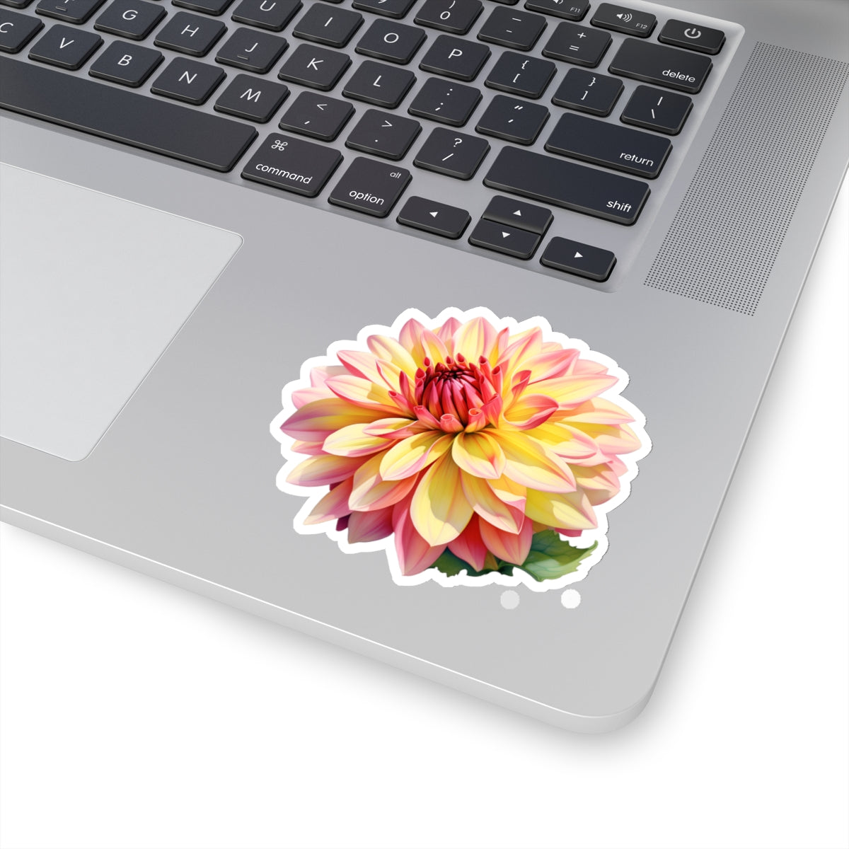 Pink and Yellow Dahlia Sticker