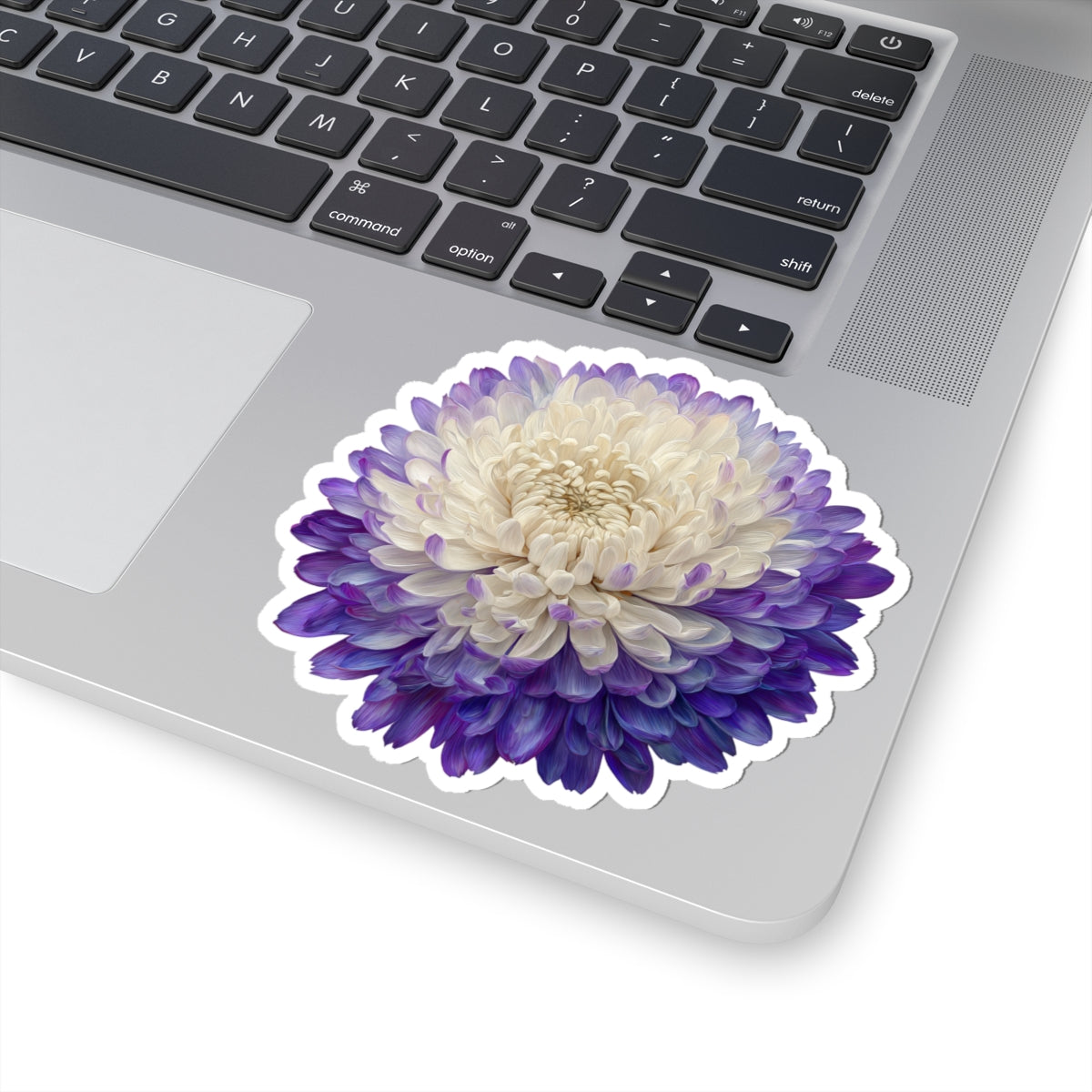 Purple and White Mum Sticker