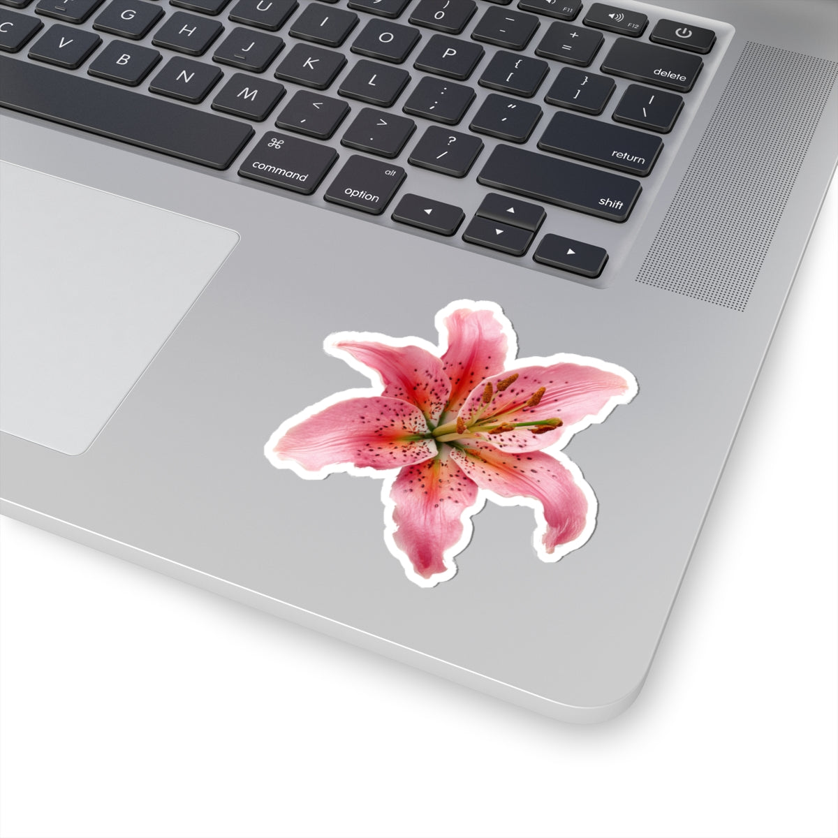 Pink Lily Sticker