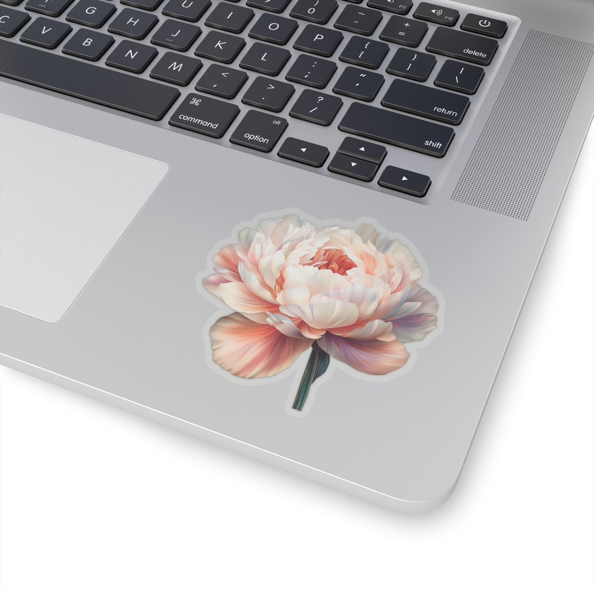 Pale Peach and White Peony Sticker