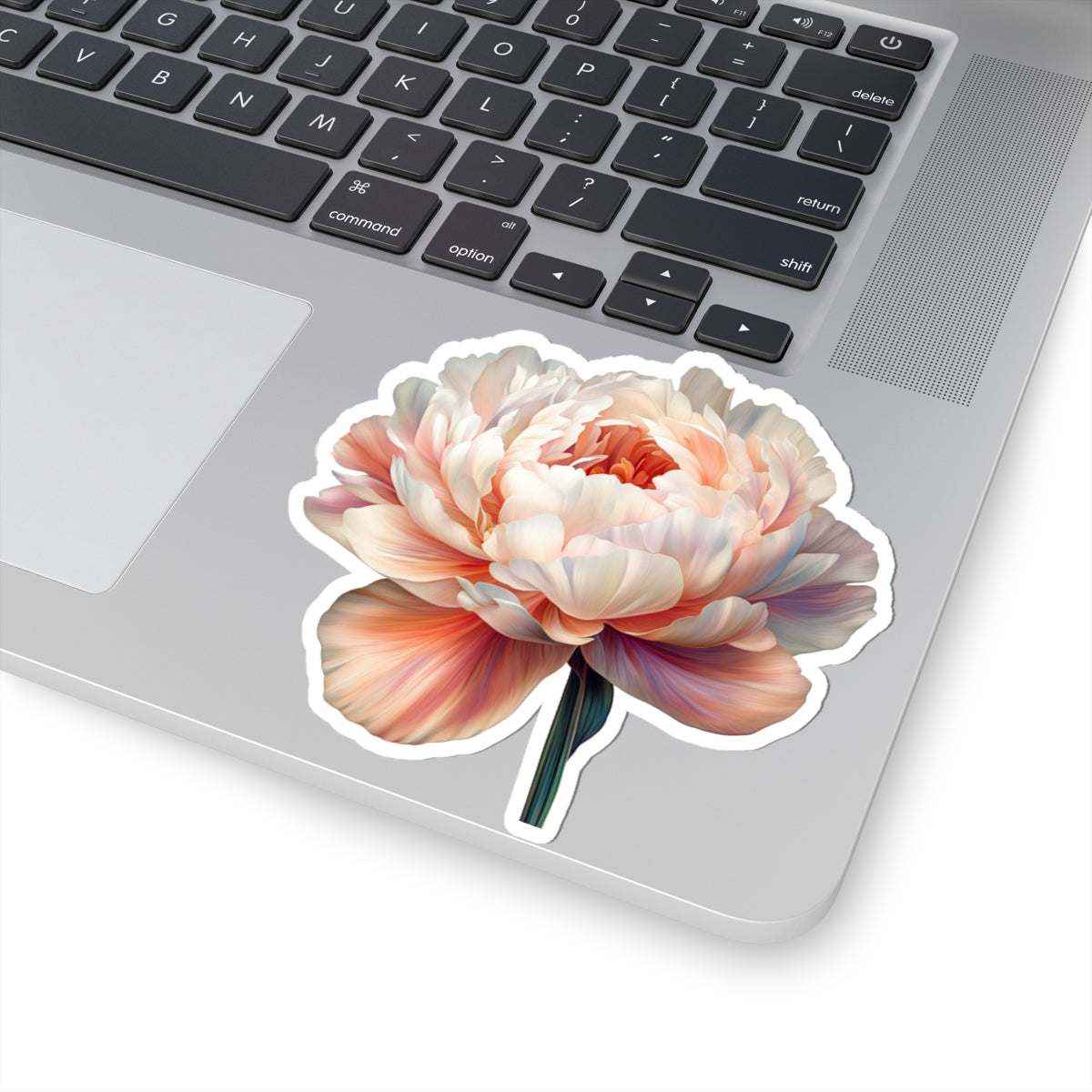 Pale Peach and White Peony Sticker