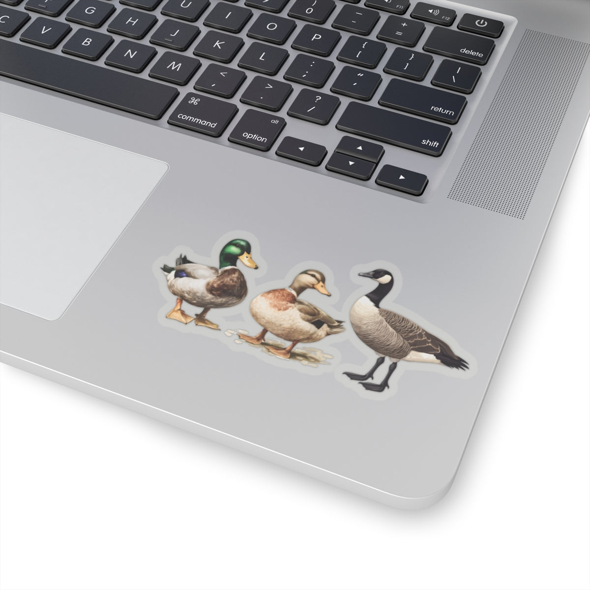 Duck Duck Goose Sticker