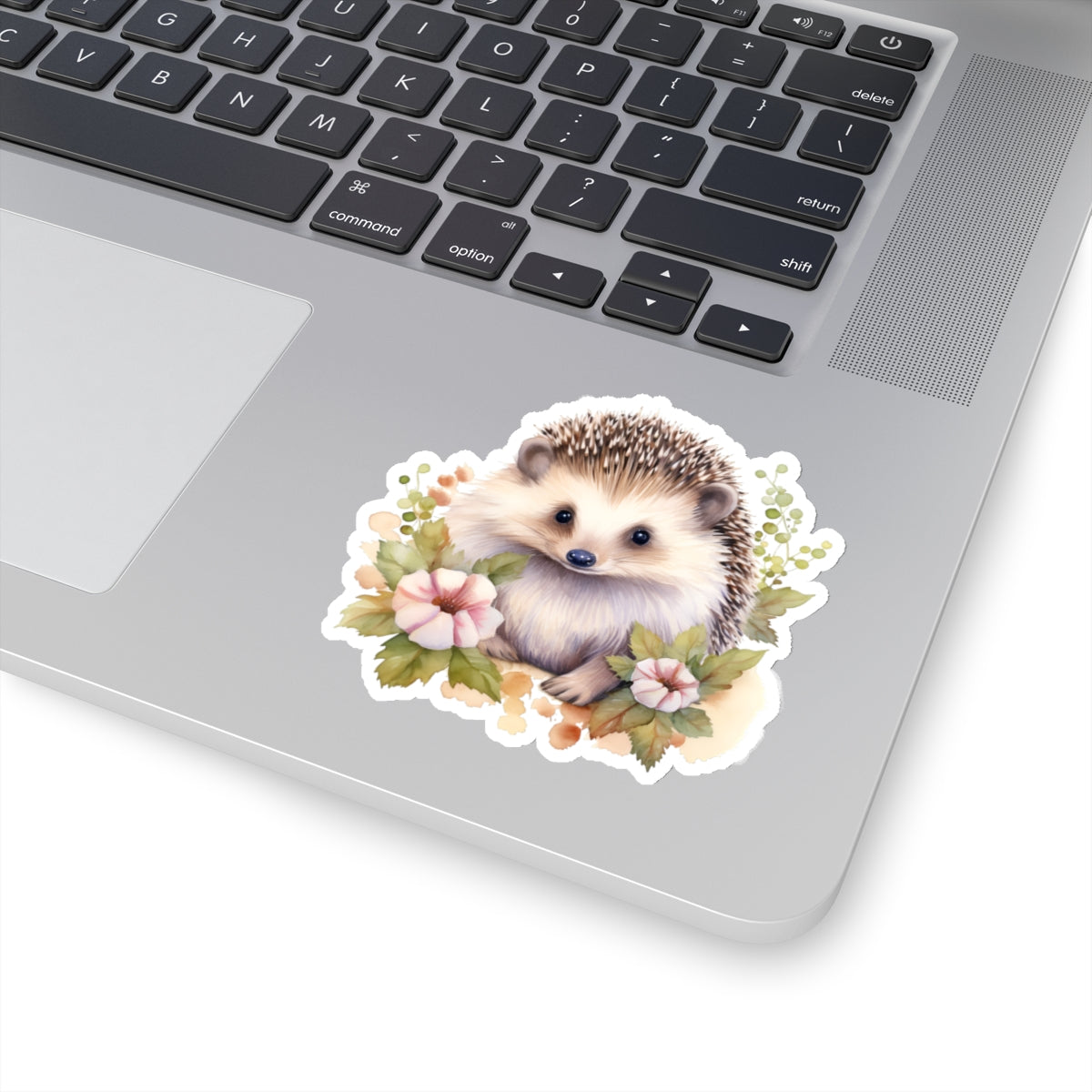 Hedgehog Sticker