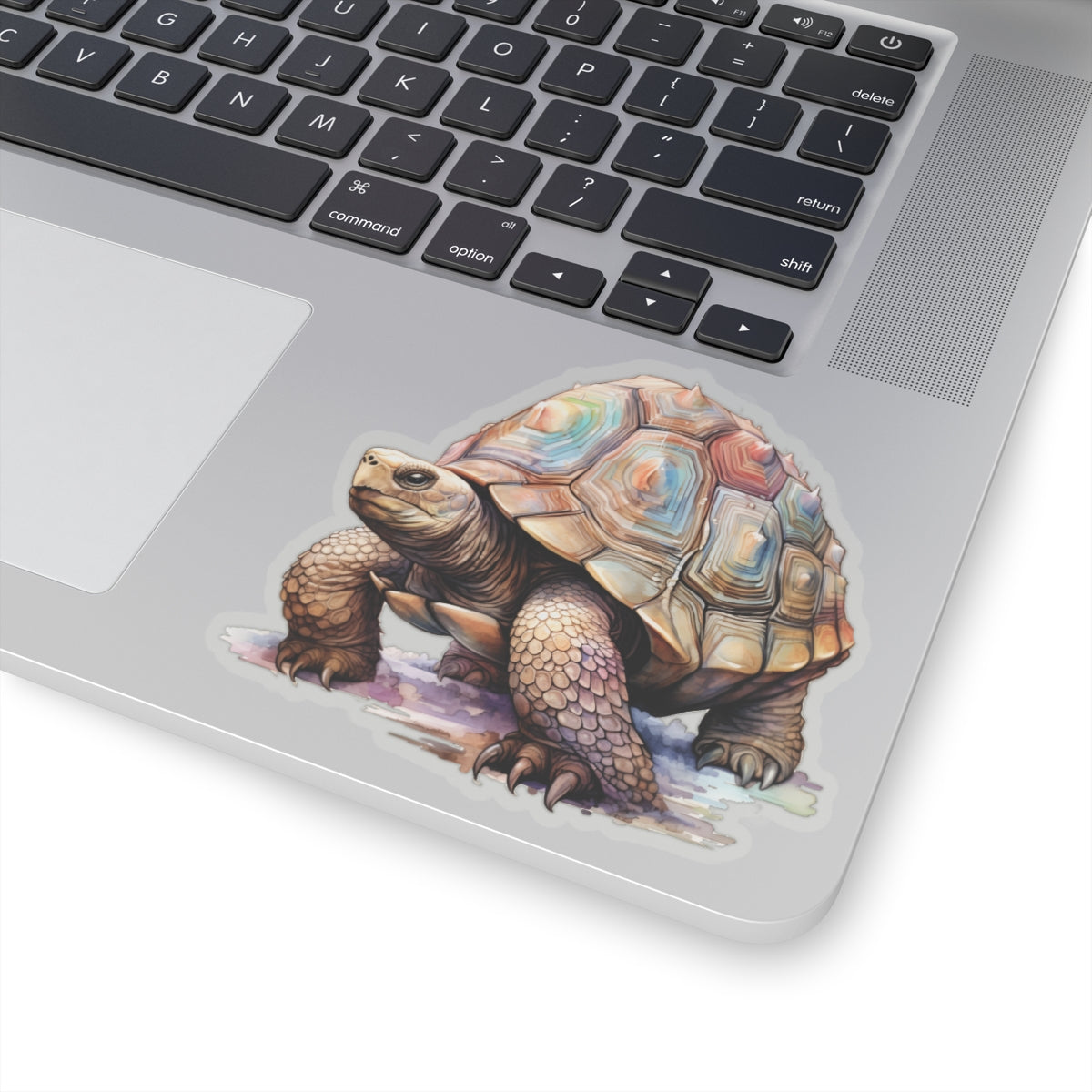 Tortoise Sticker