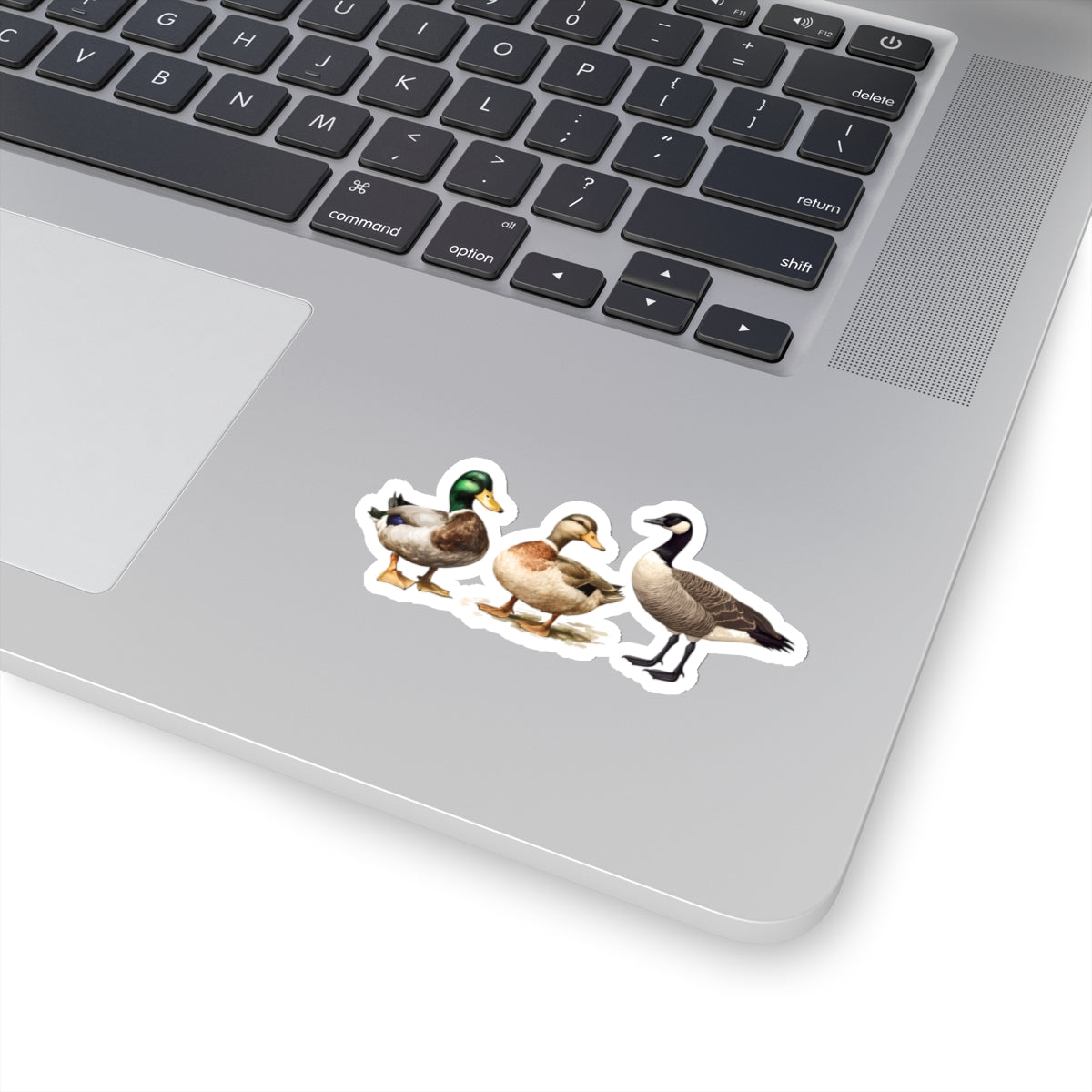 Duck Duck Goose Sticker