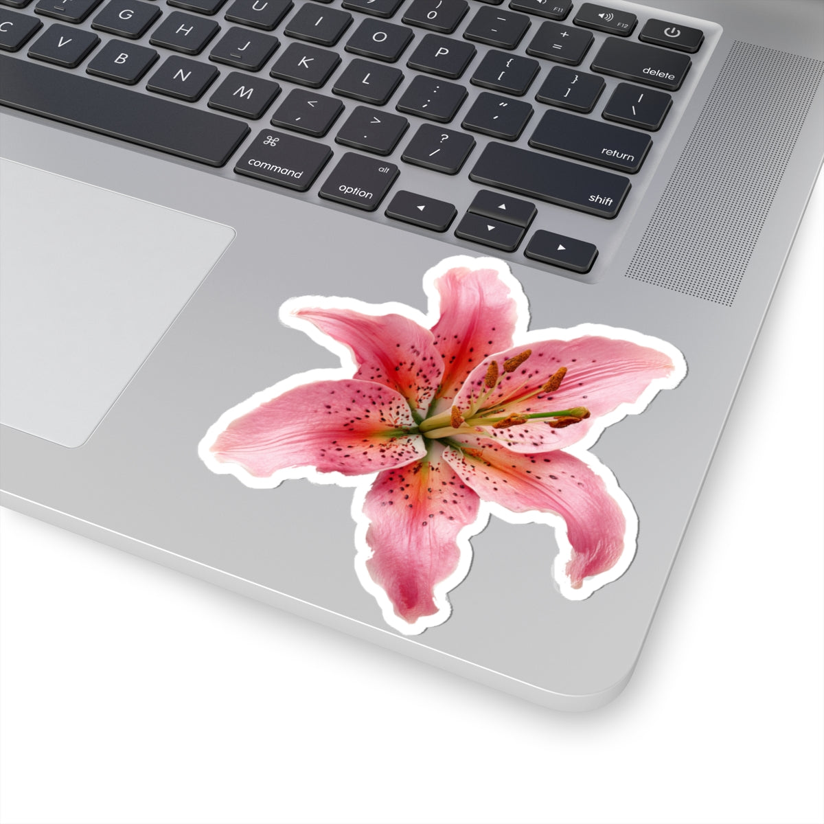 Pink Lily Sticker