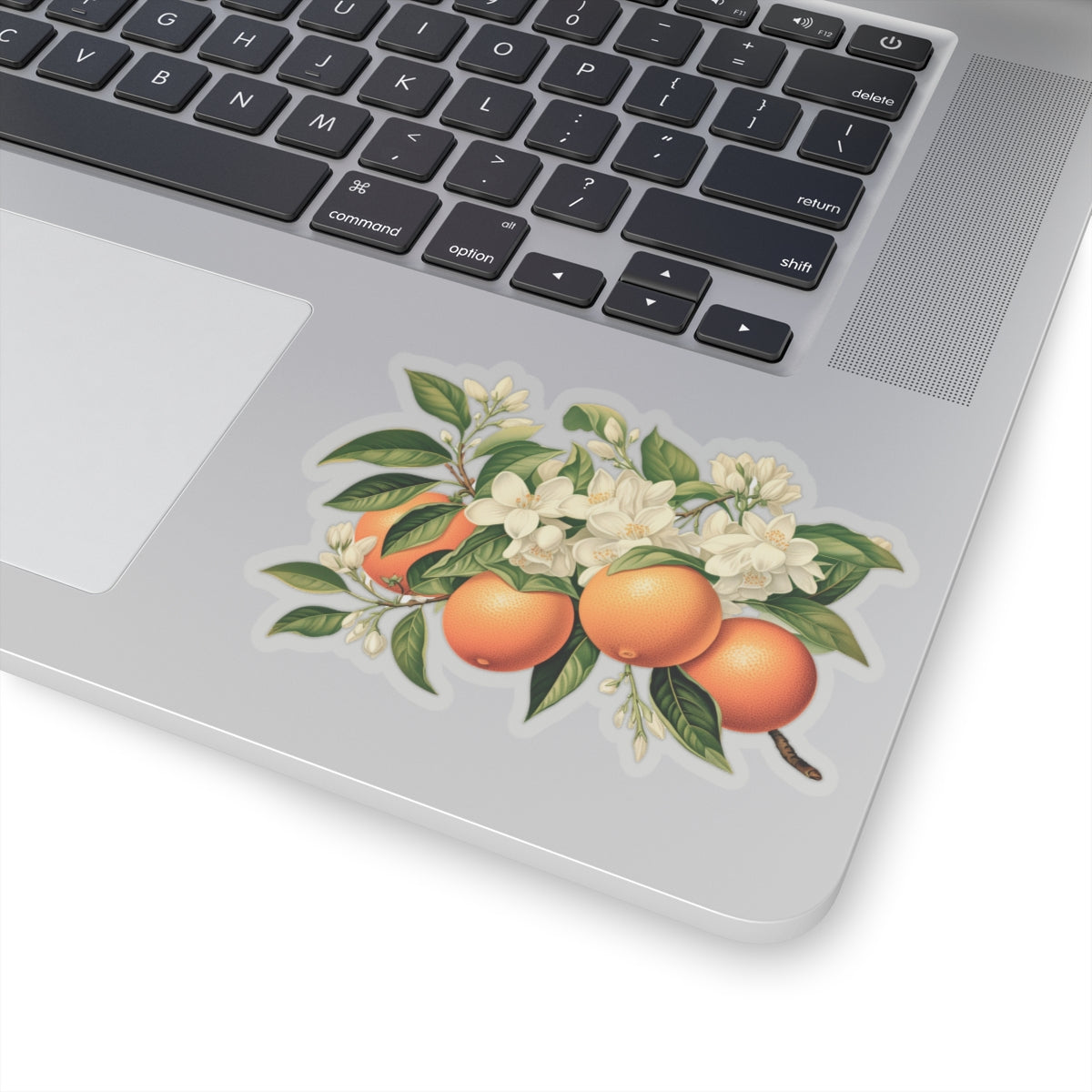 Oranges and Blossoms Sticker