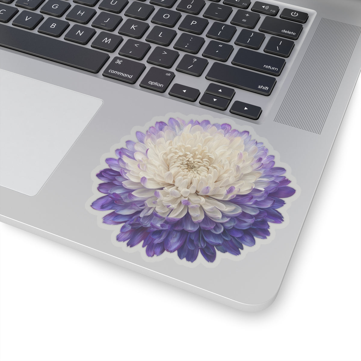 Purple and White Mum Sticker