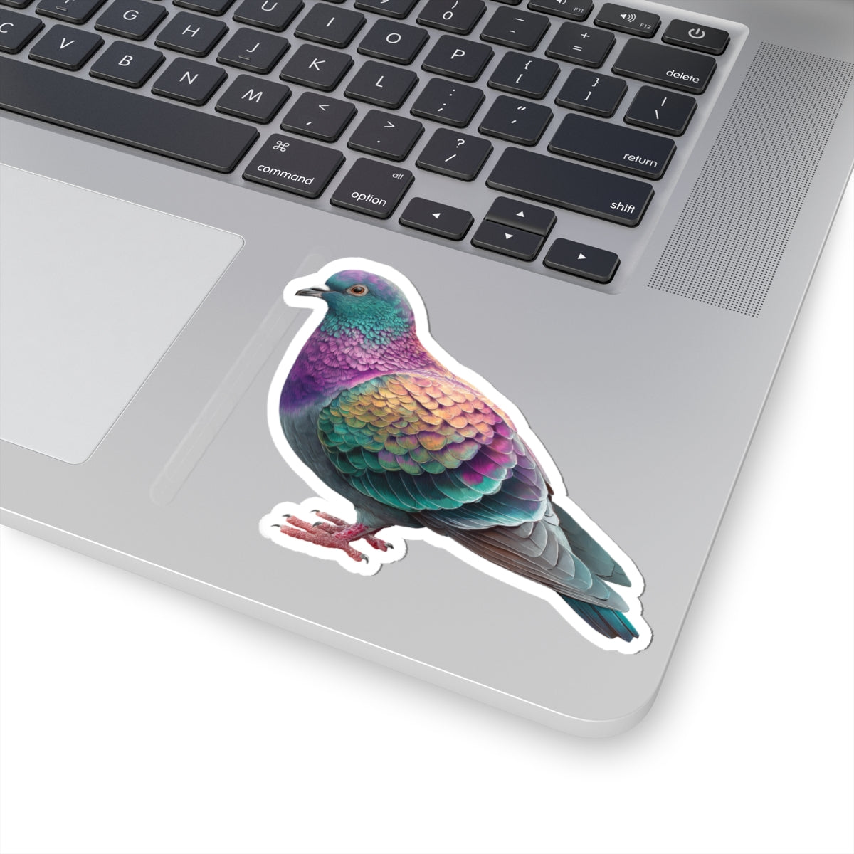 Pigeon Sticker