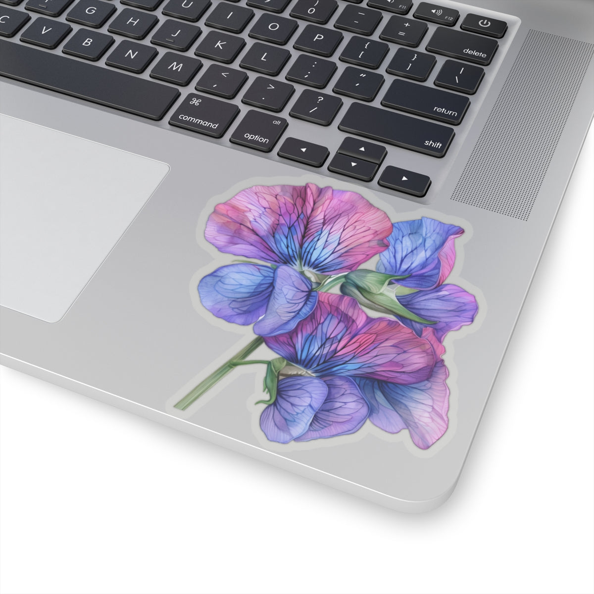 Sweet Pea Sticker