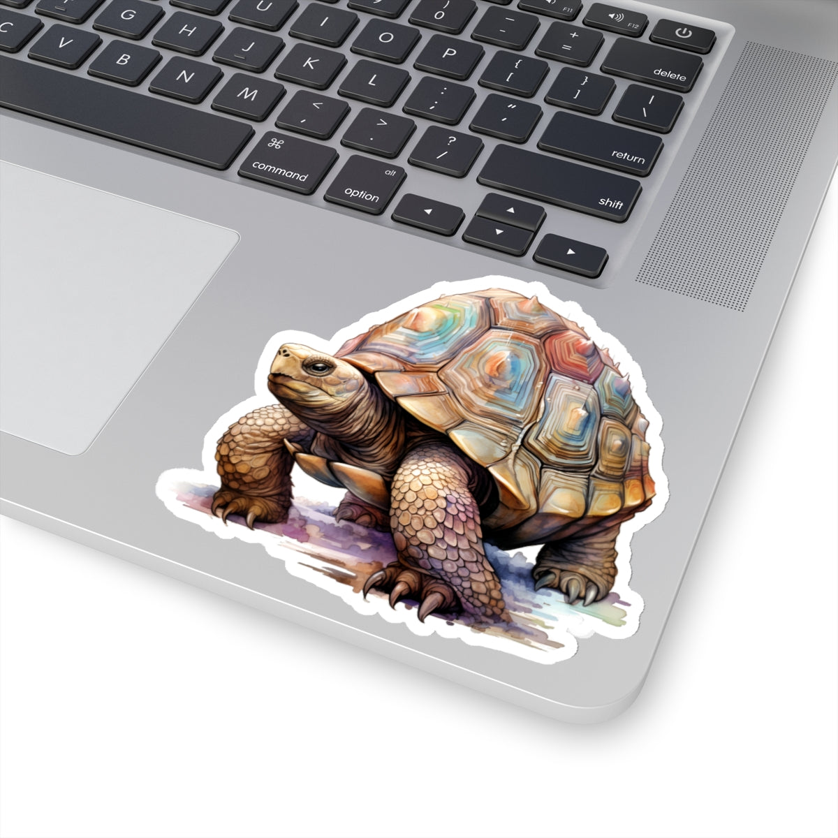 Tortoise Sticker