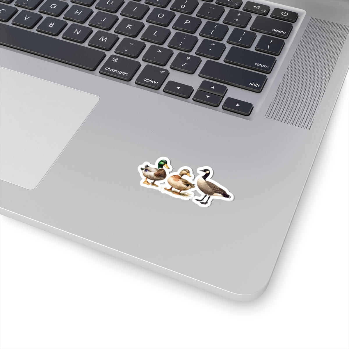 Duck Duck Goose Sticker