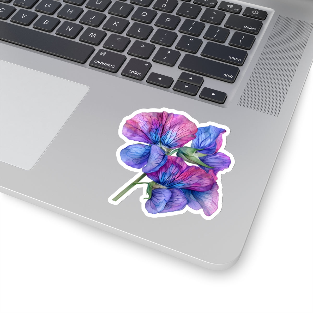 Sweet Pea Sticker