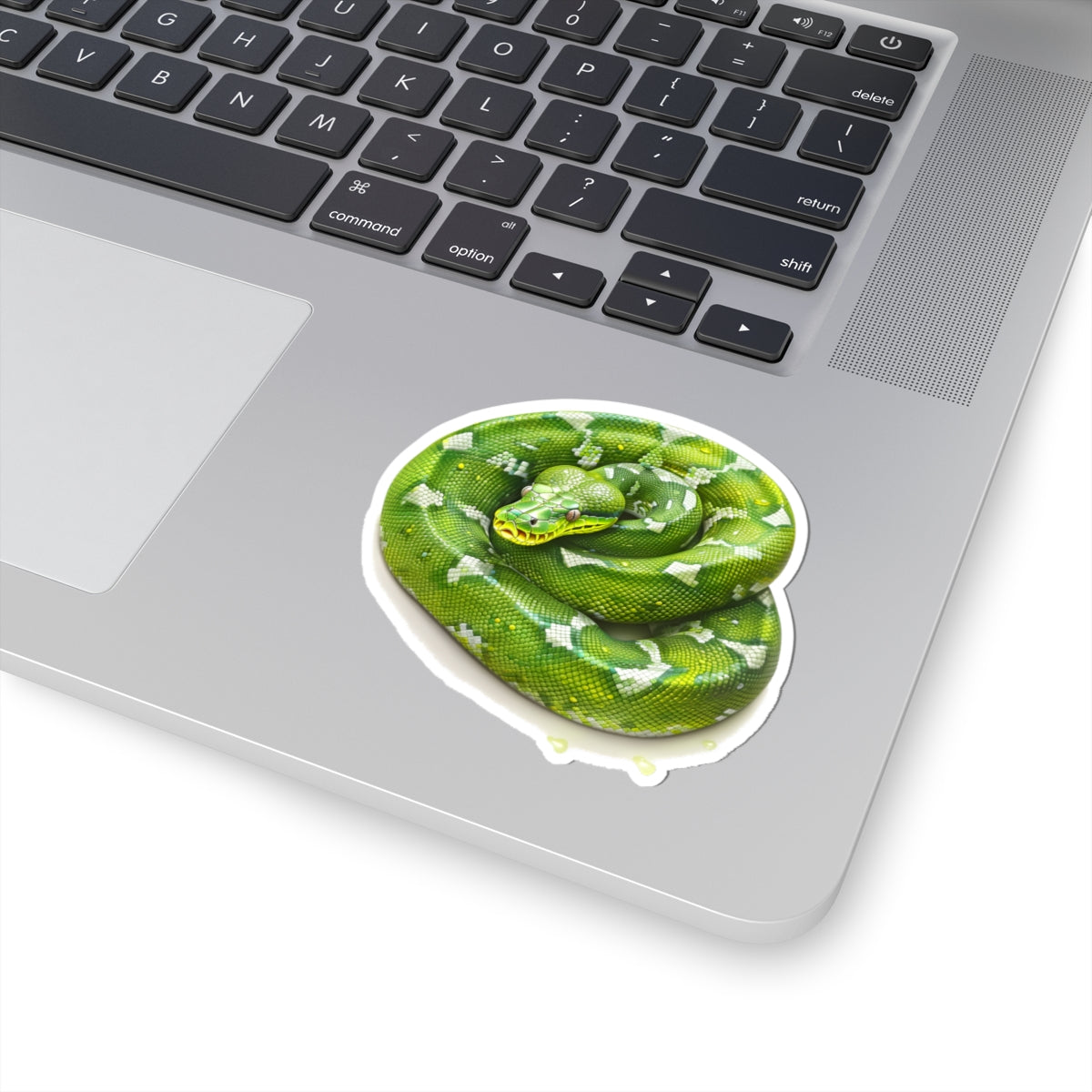 Green Snake Sticker