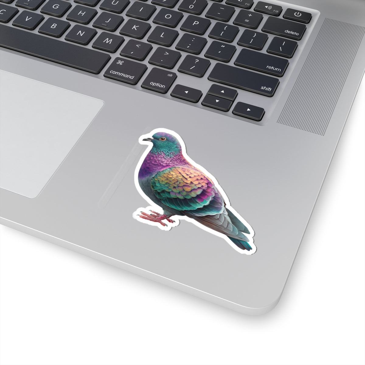 Pigeon Sticker