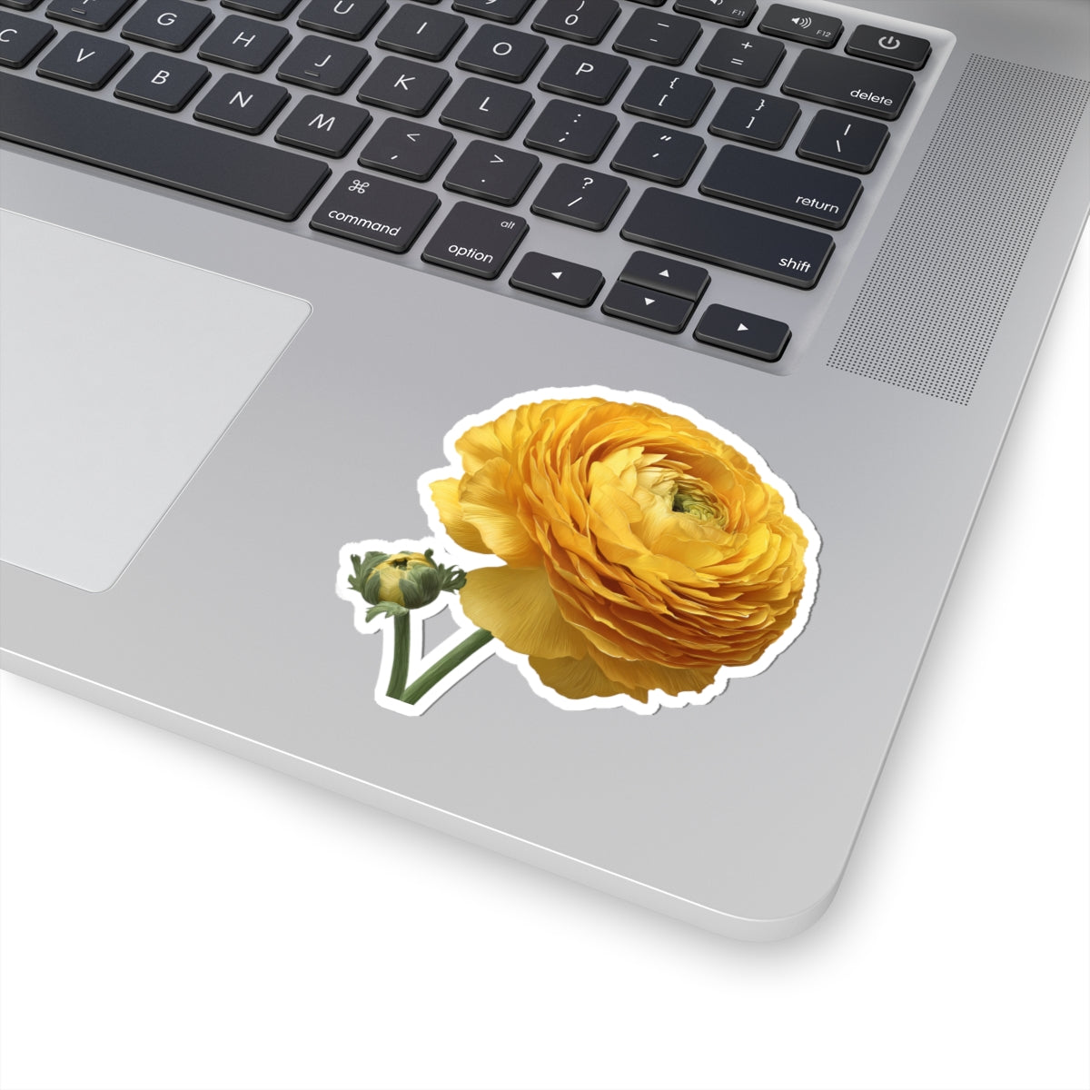 Yellow Ranunculus Sticker