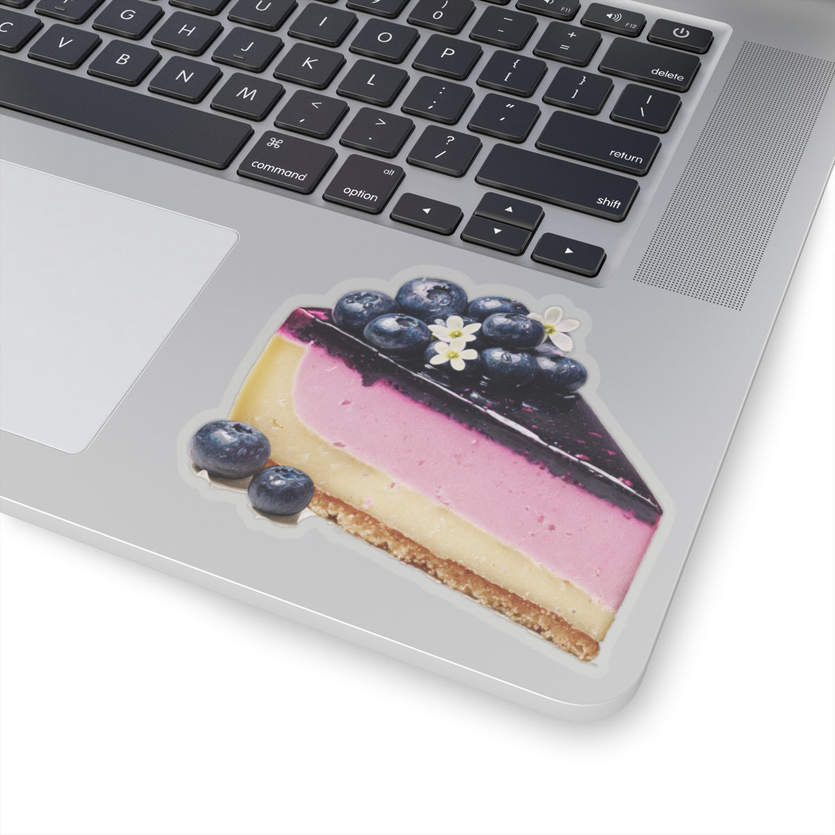 Blueberry Cheesecake Sticker