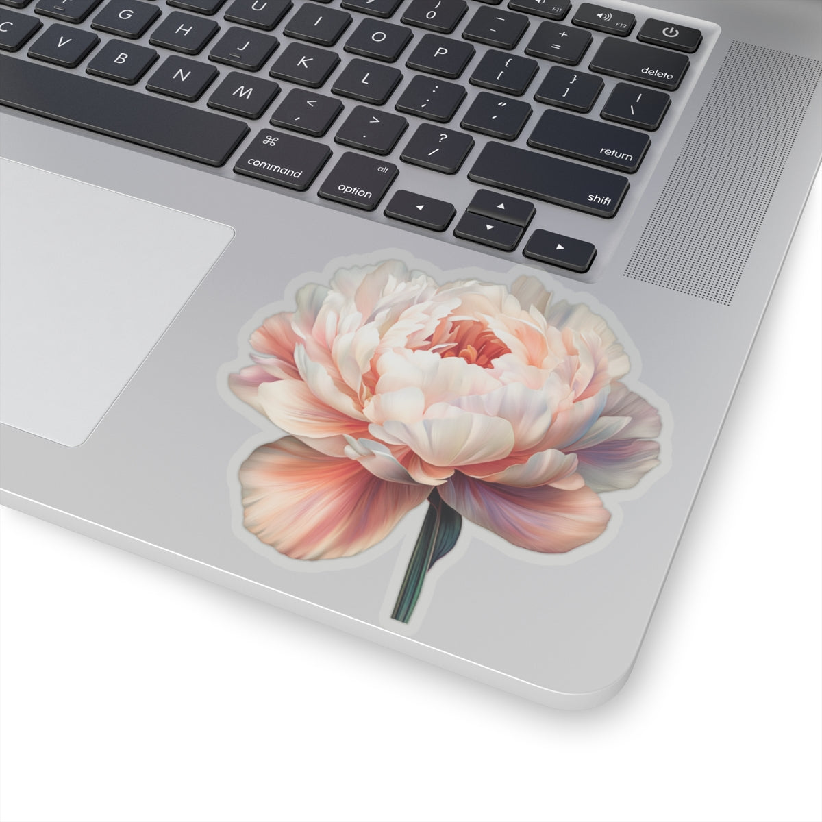 Pale Peach and White Peony Sticker