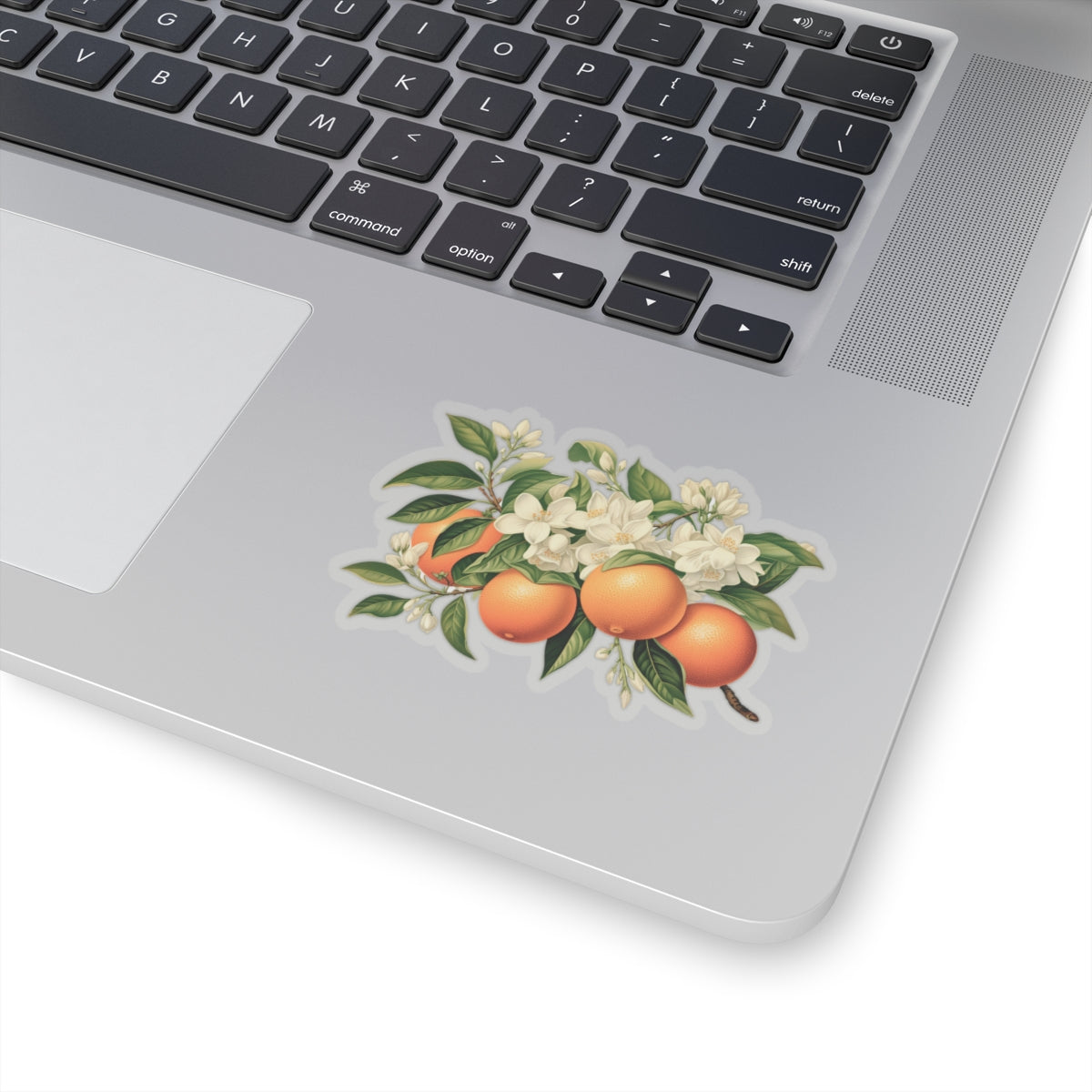 Oranges and Blossoms Sticker