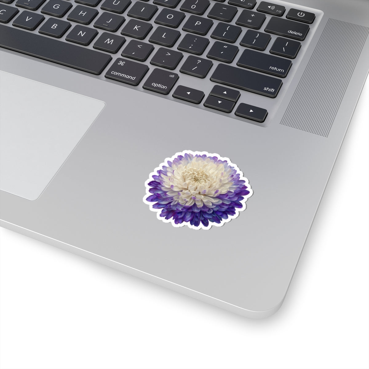Purple and White Mum Sticker