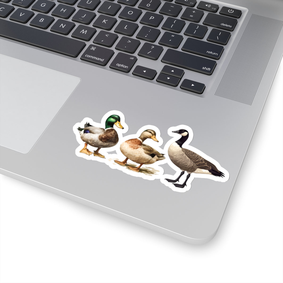 Duck Duck Goose Sticker