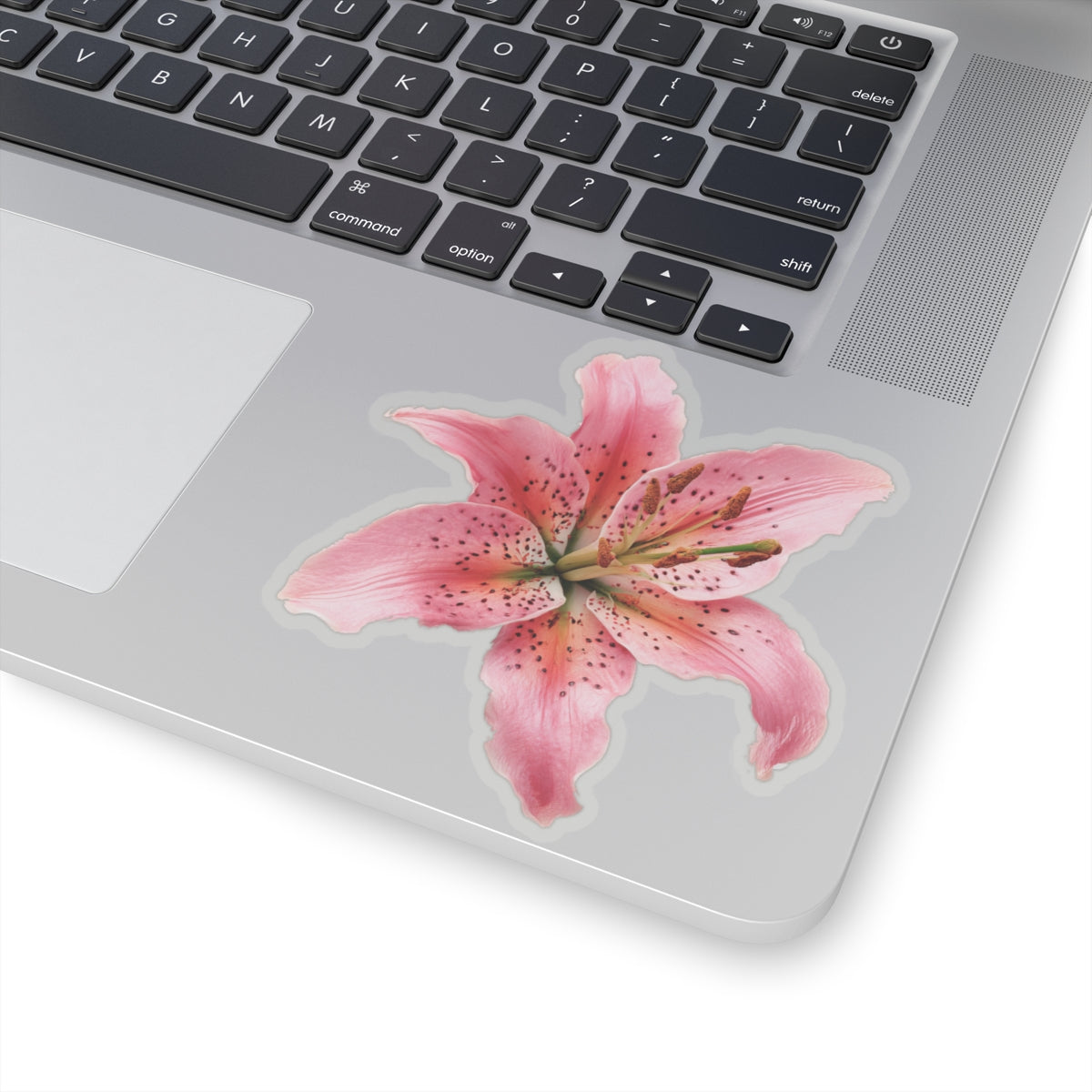 Pink Lily Sticker