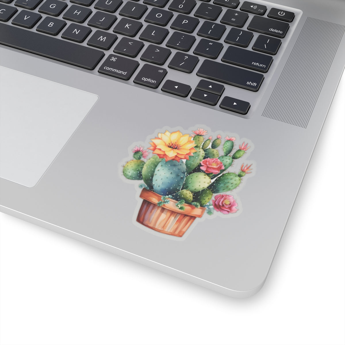 Cactus Sticker