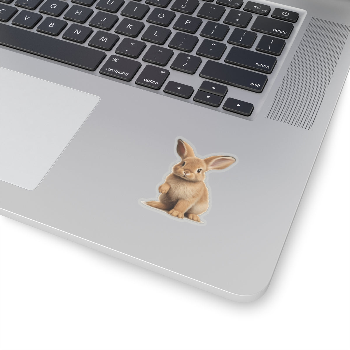 Baby Bunny Sticker