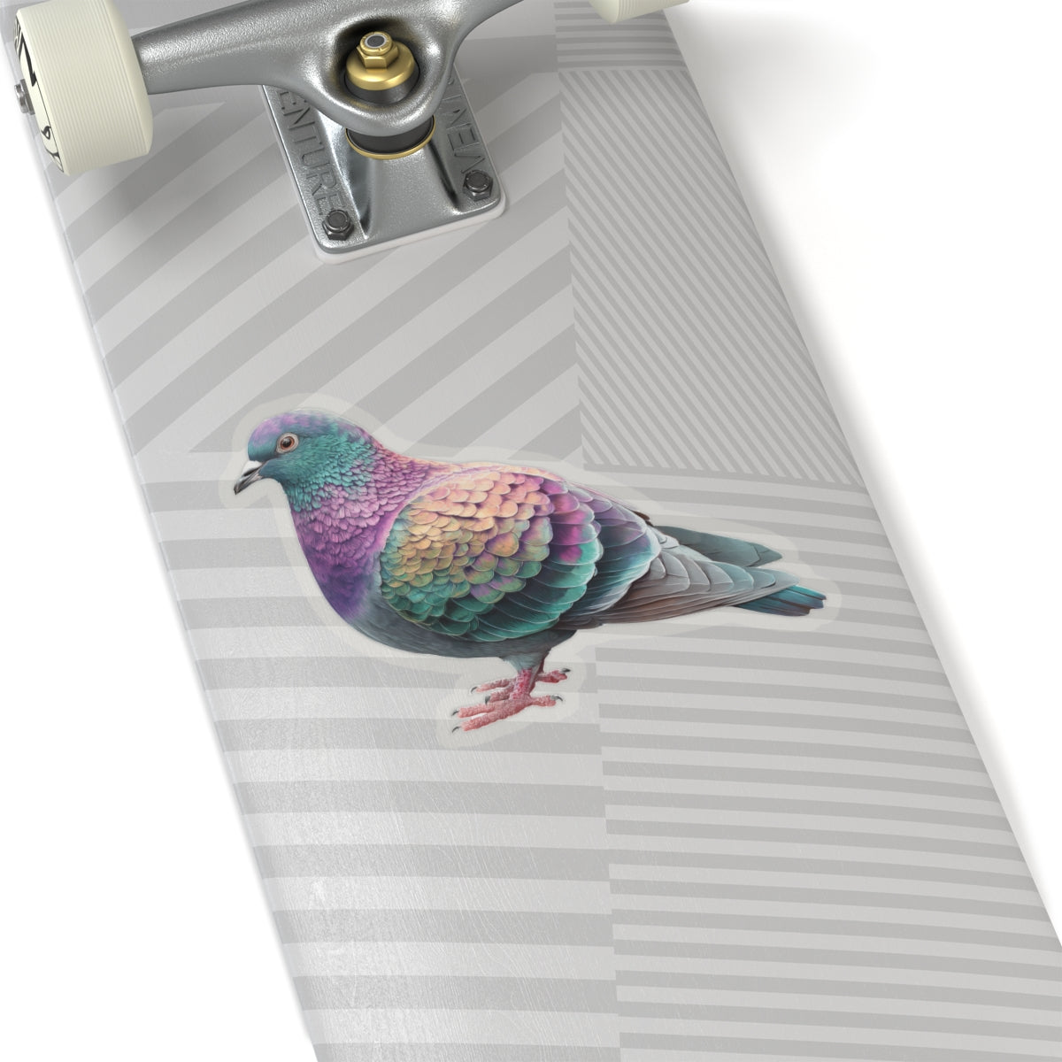 Pigeon Sticker