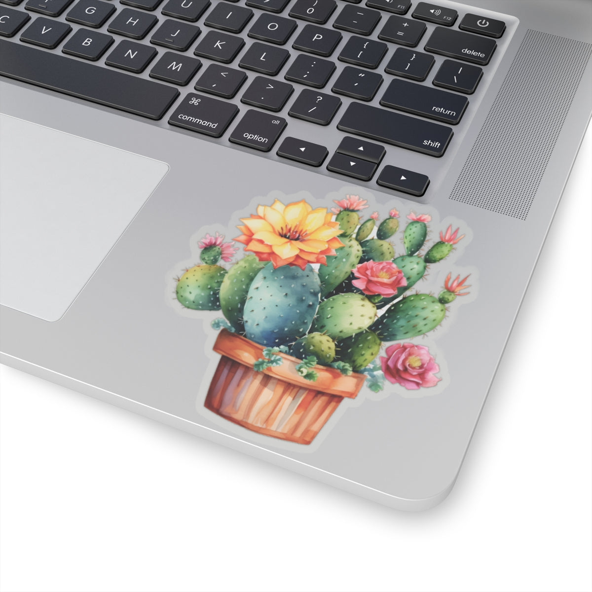 Cactus Sticker