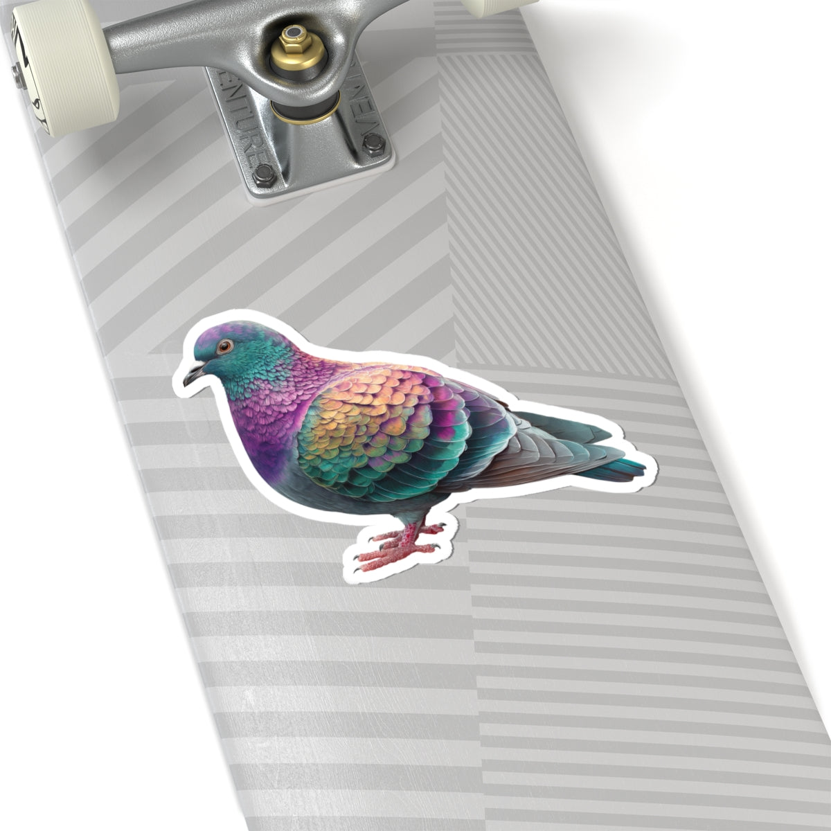 Pigeon Sticker