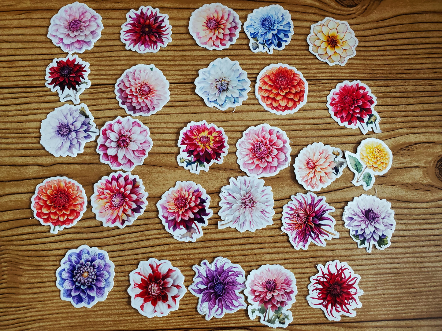 Dahlia Sticker Pack