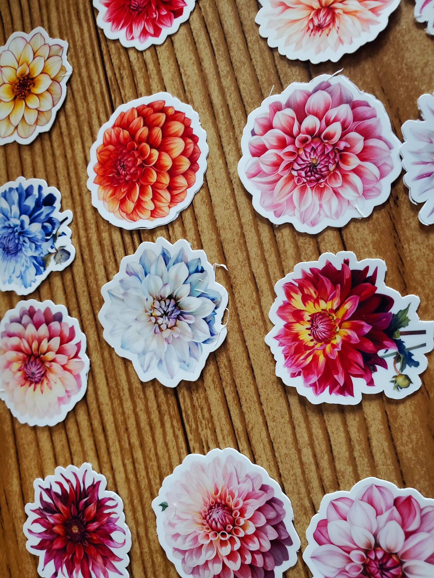 Dahlia Sticker Pack