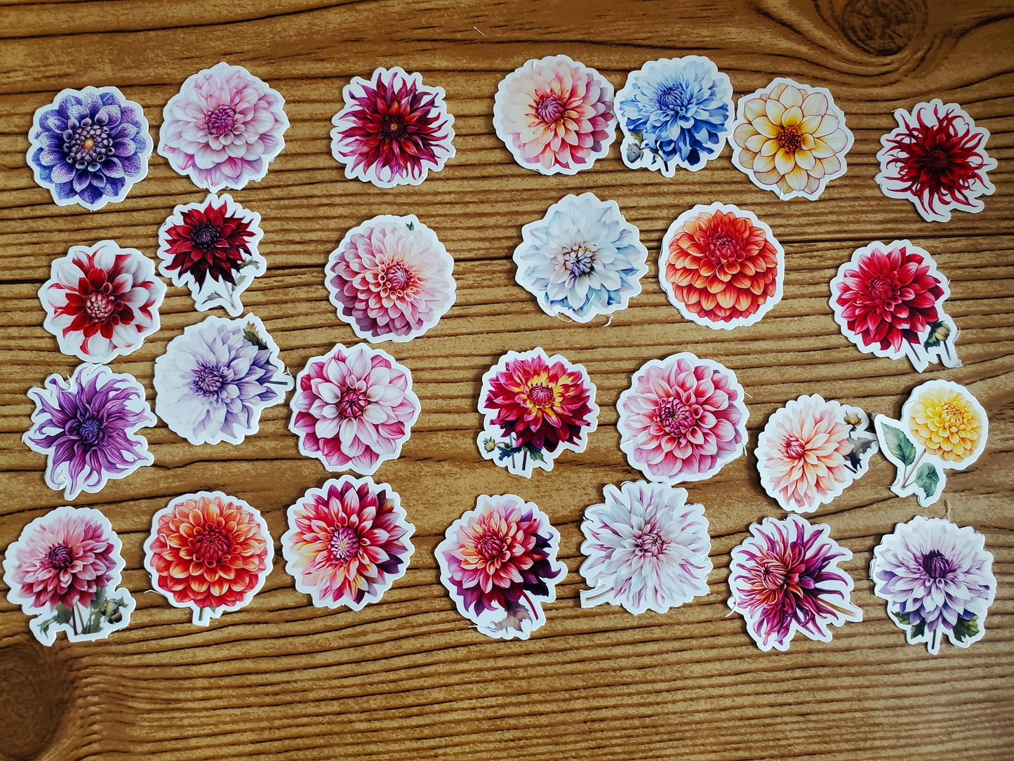 Dahlia Sticker Pack