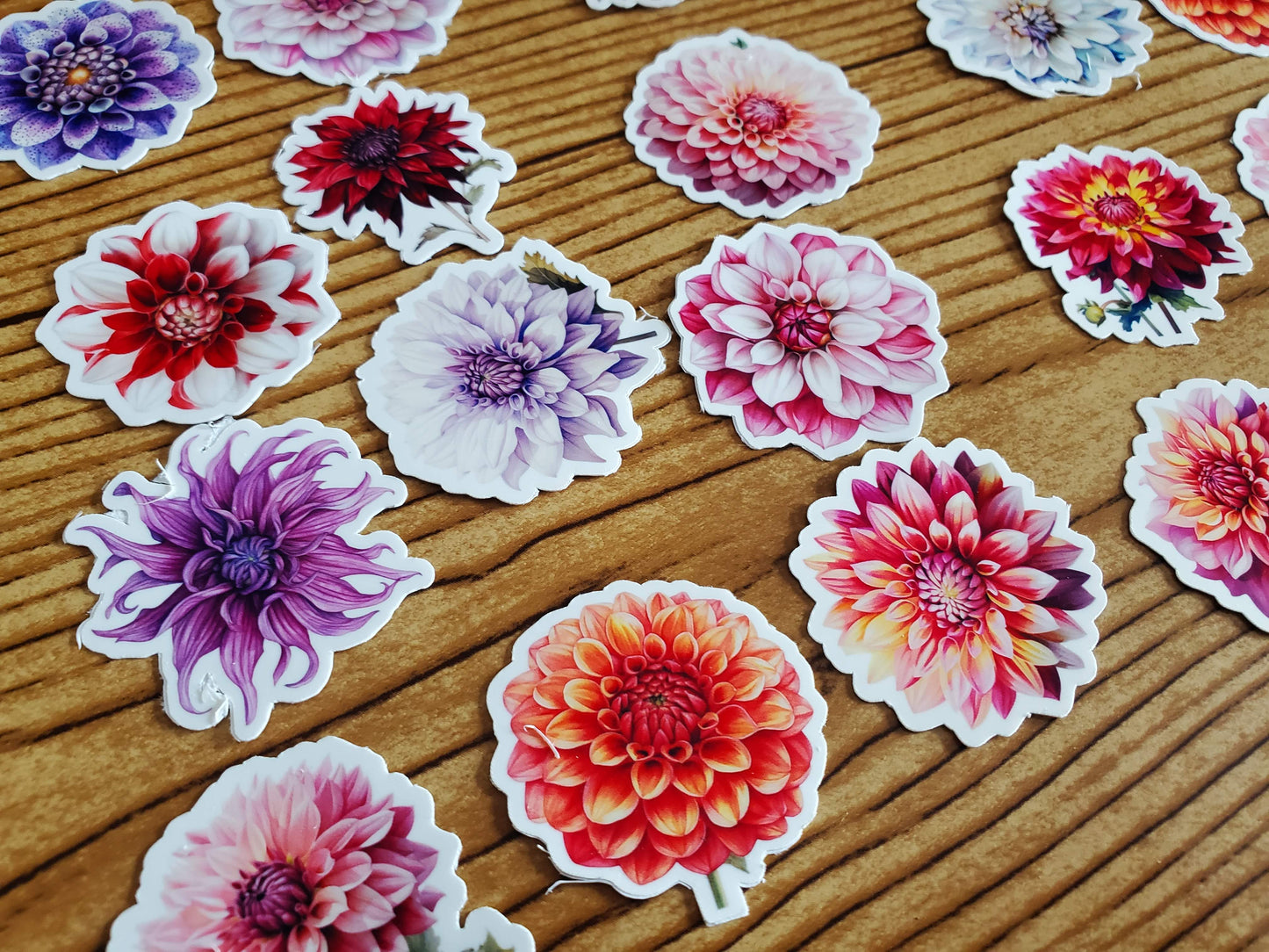 Dahlia Sticker Pack
