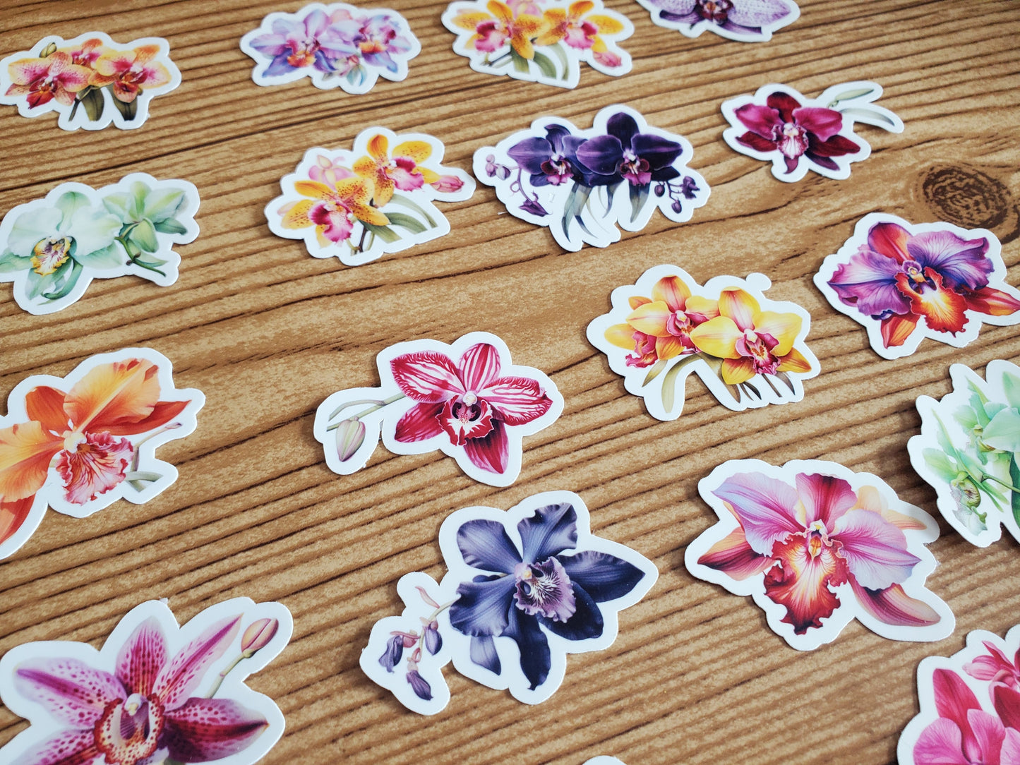 Orchid Sticker Pack