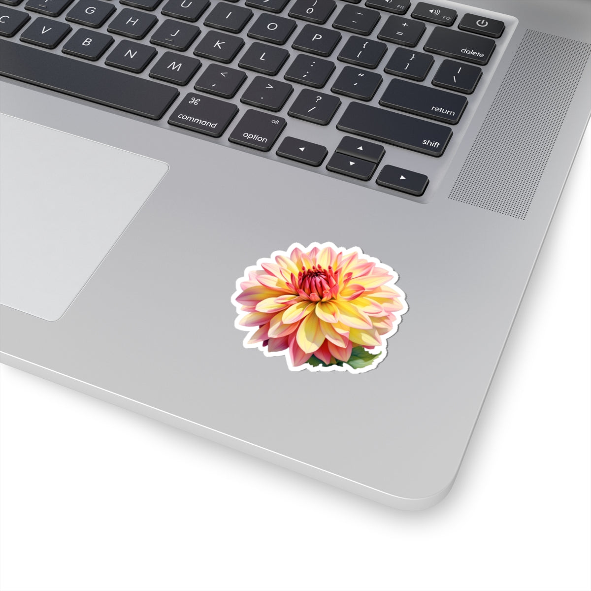 Pink and Yellow Dahlia Sticker
