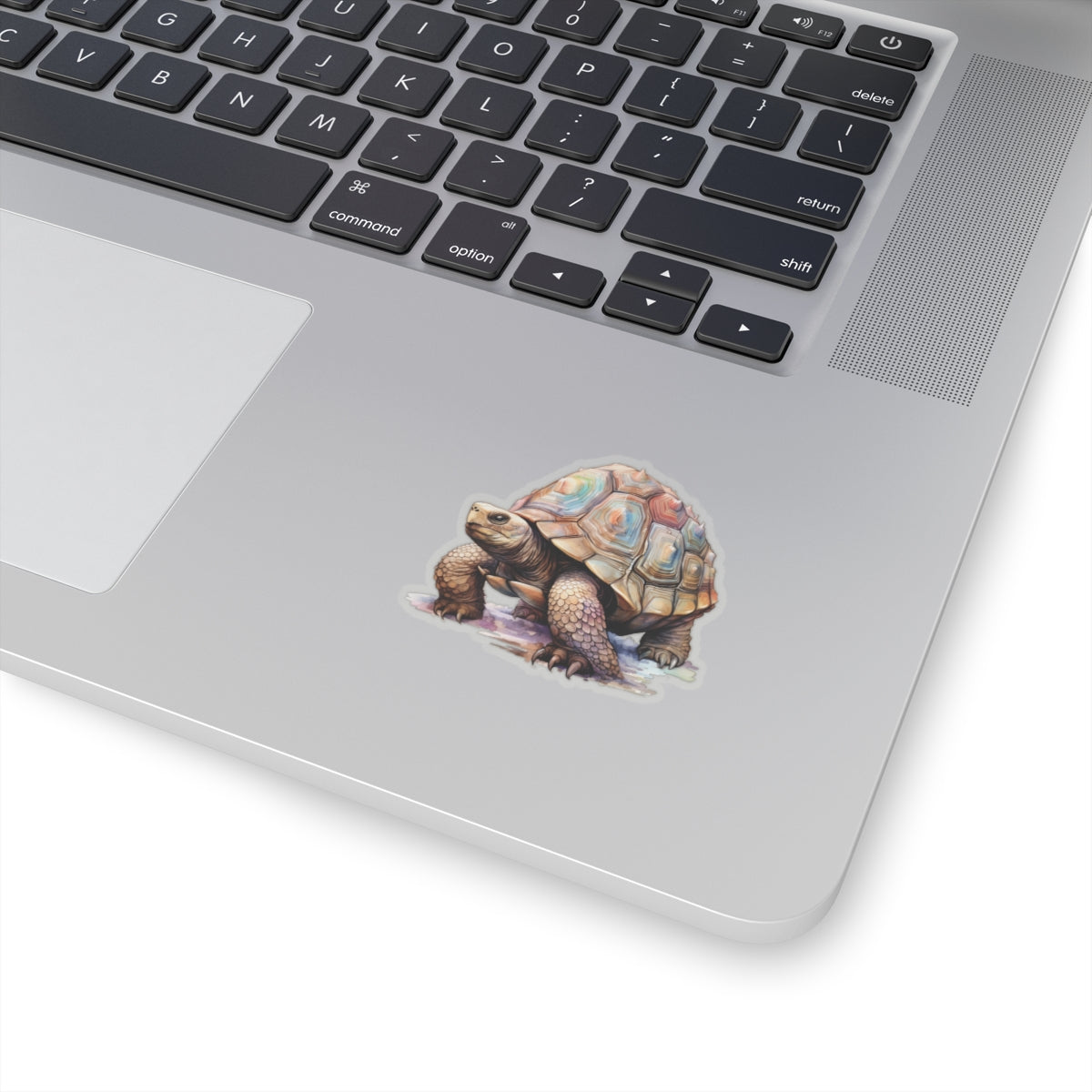 Tortoise Sticker