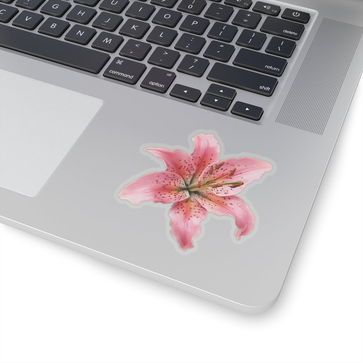 Pink Lily Sticker