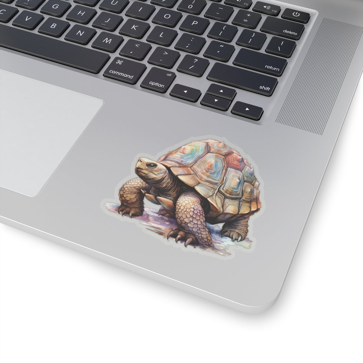 Tortoise Sticker