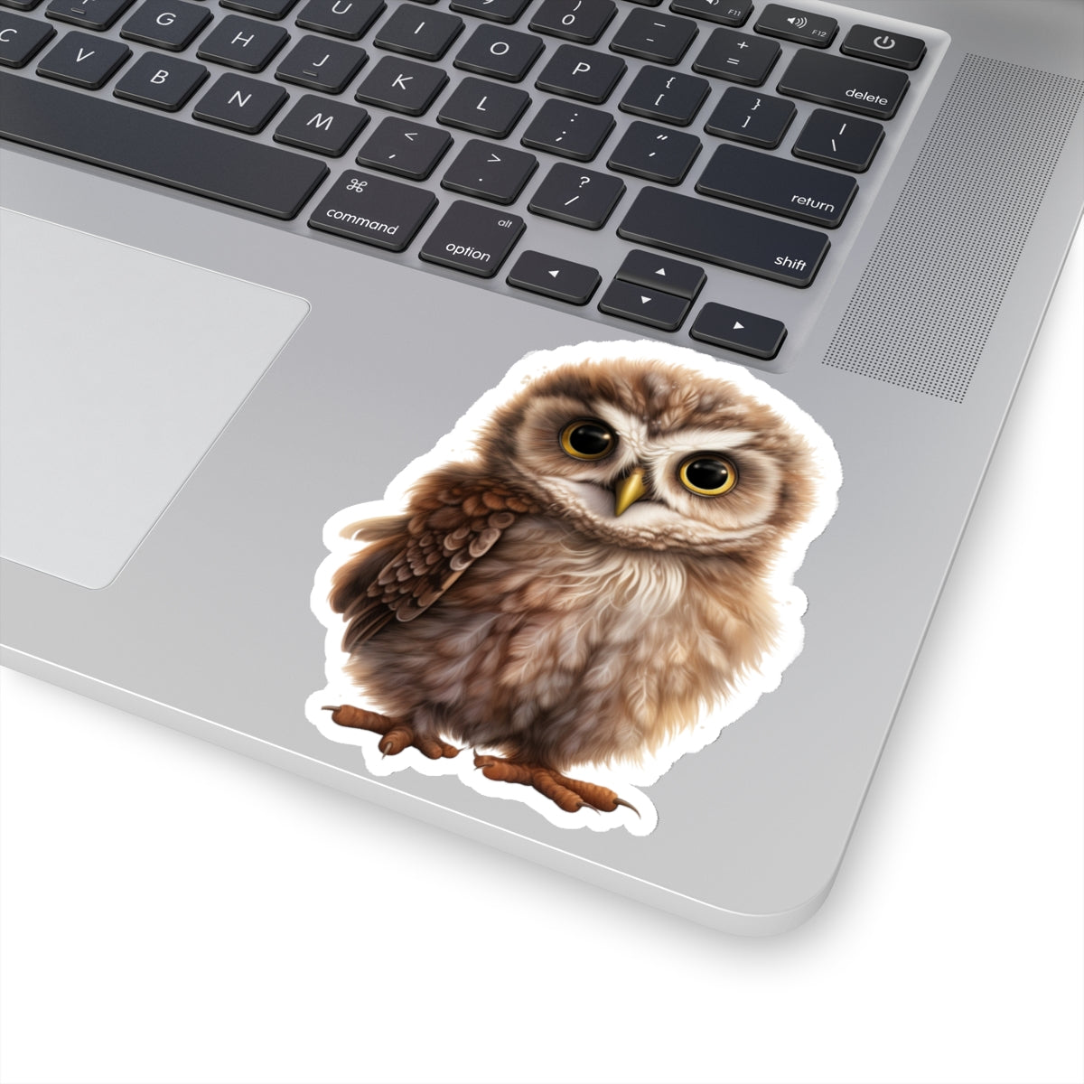 Baby Owl Sticker