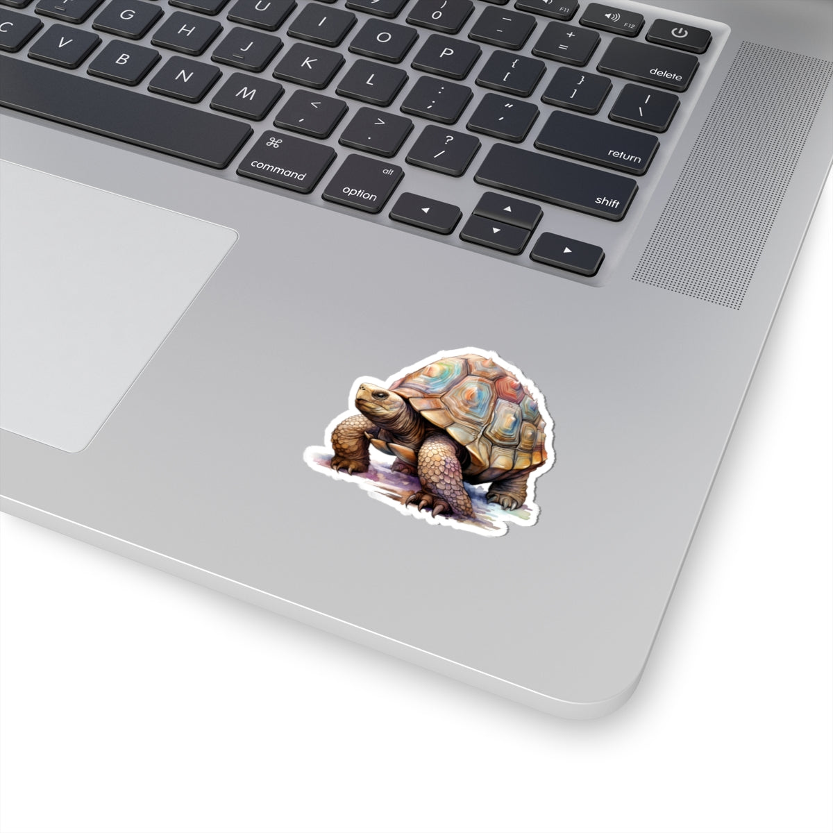 Tortoise Sticker