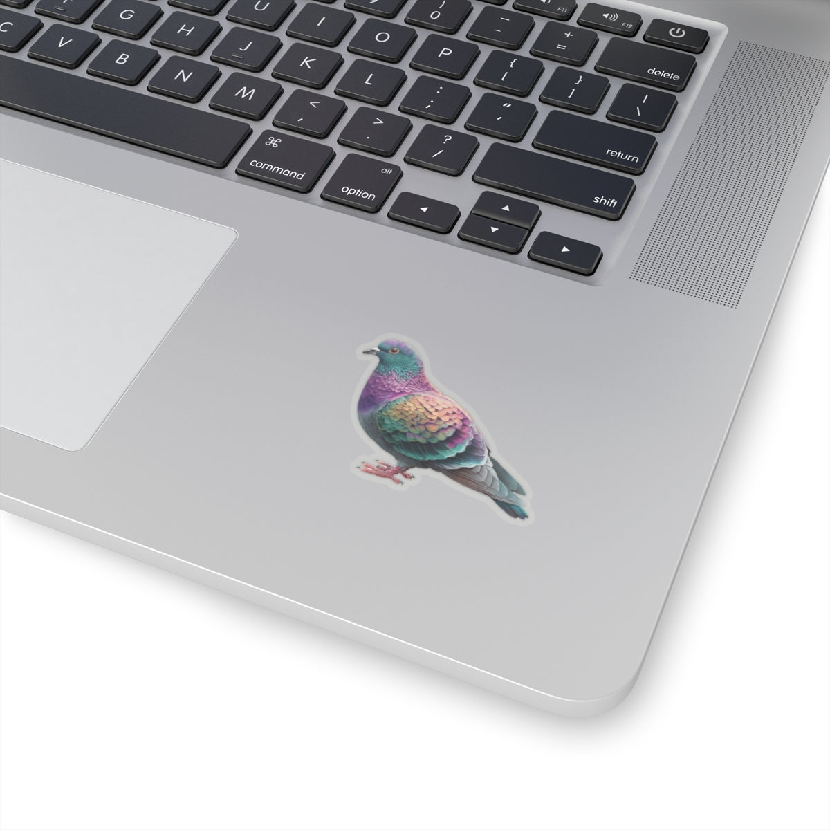 Pigeon Sticker