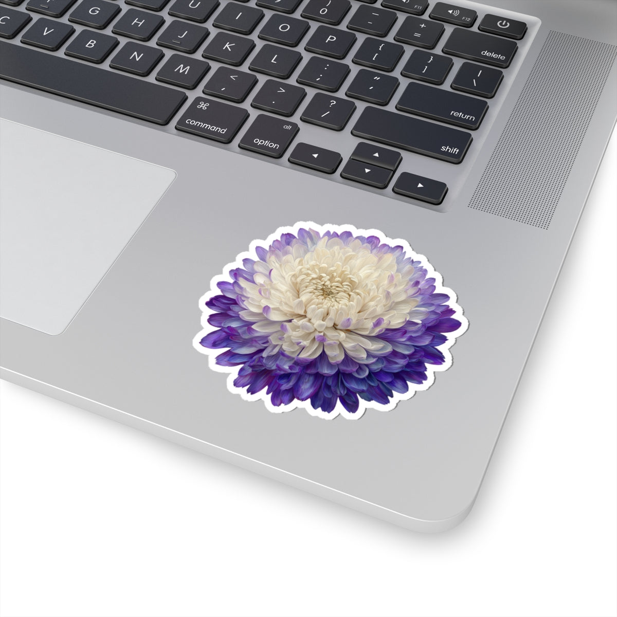 Purple and White Mum Sticker