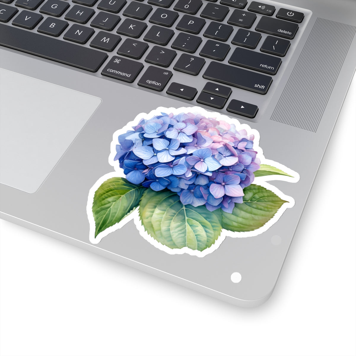 Hydrangea Sticker
